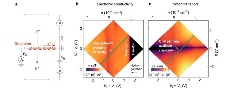 Set of three images. The first shows the setup of the experiment, the second and third are graphs showing electron and proton transport as a function of n, E and the sum and difference of the top and bottom gate voltages.